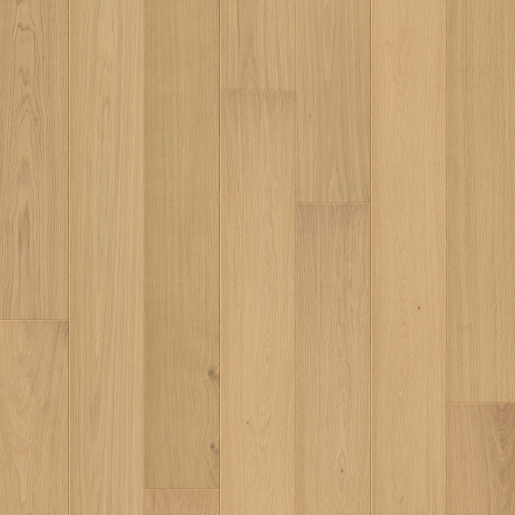 W1248-05121-3_Topshot-CHENE CHAMPETRE.jpg